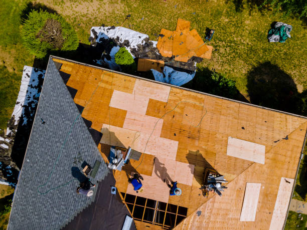 Quick and Trustworthy Emergency Roof Repair Services in Hobart, WA